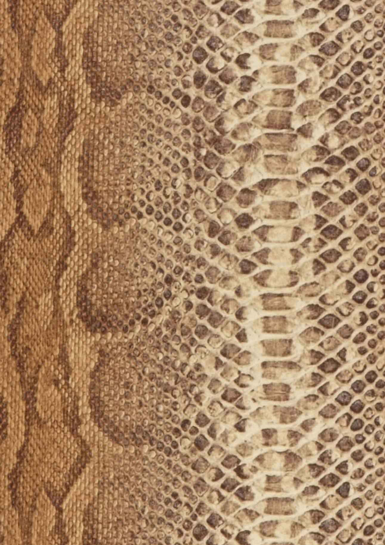Wallpaper Anaconda (Beige brown, Light brown, Light ivory) | Wallpaper ...
