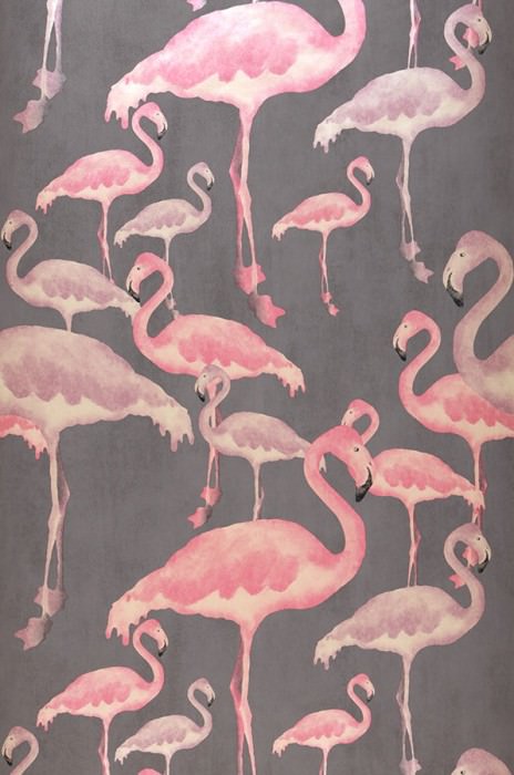 Papel de parede Amidala PadrÃ£o brilhante SuperfÃ­cie base mate Flamingos Cinza pardo Marfim claro RosÃ¨ Violeta avermelhado 